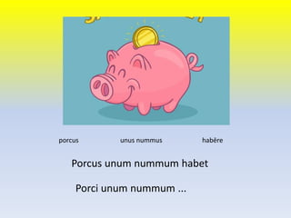 Porcus unum nummum habet
porcus unus nummus habēre
Porci unum nummum ...
 