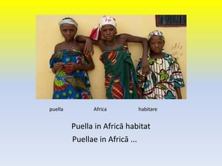 puella Africa habitare
Puella in Africā habitat
Puellae in Africā ...
 