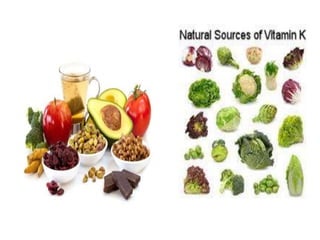 Powerpoint Presentation