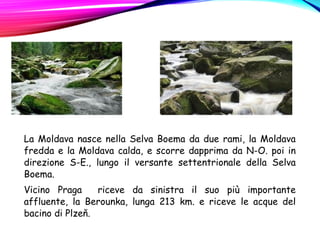 La Moldava nasce nella Selva Boema da due rami, la Moldava
fredda e la Moldava calda, e scorre dapprima da N-O. poi in
direzione S-E., lungo il versante settentrionale della Selva
Boema.
Vicino Praga riceve da sinistra il suo più importante
affluente, la Berounka, lunga 213 km. e riceve le acque del
bacino di Plzeň.
 