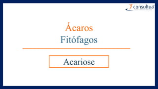 Ácaros
Fitófagos
Acariose
 