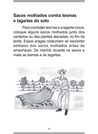 17
Sacos molhados contra lesmas
e lagartas do solo
Paracombaterlesmasealagarta-rosca,
coloque alguns sacos molhados junto dos
canteiros ou das plantas atacadas, no fim da
tarde. Essas pragas costumam se esconder
embaixo dos sacos molhados antes do
amanhecer. De manhã, levante os sacos e
mate as lesmas e as lagartas.
 