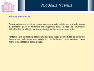 Métodos de controle Pesquisadores e técnicos reconhecem que não existe um método único e eficiente para o controle de  Migdolus  spp., dadas as inúmeras dificuldades de atingir as fases biológicas desse inseto no solo.  Portanto, um consenso parece indicar que todas as medidas de controle devem ser adotadas em conjunto ou isoladas, para resultar num manejo satisfatório dessa praga. Migdolus fryanus 