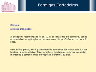 Controle a) Iscas granuladas: A dosagem recomendada é de 10 g de iscas/m2 de sauveiro, sendo aconselhável a aplicação em época seca, de preferência com o solo seco. Para saúva parda, se a quantidade de sauveiros for maior que 13 por hectare, é aconselhável fazer aração e gradagem (reforma do pasto), mantendo o terreno limpo de vegetais durante 120 dias. Formigas Cortadeiras 