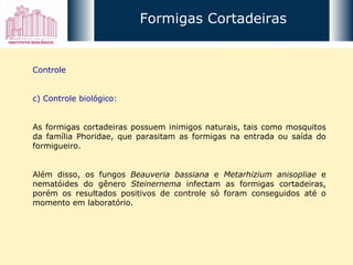 Controle c) Controle biológico: As formigas cortadeiras possuem inimigos naturais, tais como mosquitos da família Phoridae, que parasitam as formigas na entrada ou saída do formigueiro. Além disso, os fungos  Beauveria bassiana  e  Metarhizium anisopliae  e nematóides do gênero  Steinernema  infectam as formigas cortadeiras, porém os resultados positivos de controle só foram conseguidos até o momento em laboratório. Formigas Cortadeiras 