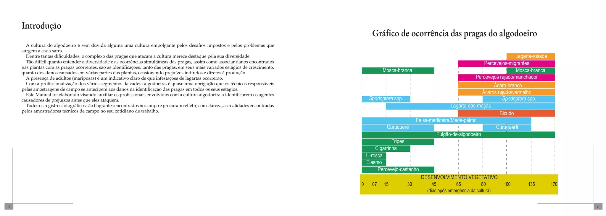Introdução
                                                                                                                                              Gráfico de ocorrência das pragas do algodoeiro
      A cultura do algodoeiro é sem dúvida alguma uma cultura empolgante pelos desafios impostos e pelos problemas que
    surgem a cada safra.
      Dentre tantas dificuldades, o complexo das pragas que atacam a cultura merece destaque pela sua diversidade.                                                                                                  Lagarta-rosada
      Tão difícil quanto entender a diversidade e as ocorrências simultâneas das pragas, assim como associar danos encontrados                                                                        Percevejos-migrantes
    nas plantas com as pragas ocorrentes, são as identificações, tanto das pragas, em seus mais variados estágios de crescimento,
    quanto dos danos causados em várias partes das plantas, ocasionando prejuízos indiretos e diretos à produção.                                  Mosca-branca                                                     Mosca-branca
      A presença de adultos (mariposas) é um indicativo claro de que infestações de lagartas ocorrerão.                                                                                           Percevejos rajado/manchador
      Com a profissionalização dos vários segmentos da cadeia algodoeira, é quase uma obrigação que os técnicos responsáveis                                                                          Ácaro-branco
    pelas amostragens de campo se antecipem aos danos na identificação das pragas em todos os seus estágios.
      Este Manual foi elaborado visando auxiliar os profissionais envolvidos com a cultura algodoeira a identificarem os agentes                                                                 Ácaros rajado/vermelho
    causadores de prejuízos antes que eles ataquem.                                                                                          Spodoptera spp.                                              Spodoptera spp.
      Todos os registros fotográficos são flagrantes encontrados no campo e procuram refletir, com clareza, as realidades encontradas                                               Lagarta-das-maçãs
    pelos amostradores técnicos de campo no seu cotidiano de trabalho.
                                                                                                                                                                                                         Bicudo
                                                                                                                                                                    Falsa-medideira/Mede-palmo
                                                                                                                                                     Curuquerê                                         Curuquerê
                                                                                                                                                                            Pulgão-de-algodoeiro
                                                                                                                                                         Tripes
                                                                                                                                                 Cigarrinha
                                                                                                                                            L.-rosca
                                                                                                                                            Elasmo
                                                                                                                                                  Percevejo-castanho
                                                                                                                                                                       DESENVOLVIMENTO VEGETATIVO
                                                                                                                                        0     07    15         30           45         65           80        100        135         170
                                                                                                                                                                         (dias após emergência da cultura)


4                                                                                                                                                                                                                                          5
 