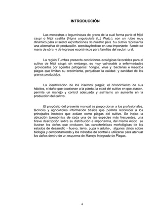 INTRODUCCIÓN


       Las menestras o leguminosas de grano de la cual forma parte el fríjol
caupi o fríjol castilla (Vigna unguiculata (L.) Walp.); son un rubro muy
dinámico para el sector exportaciones de nuestro país. Su cultivo representa
una alternativa de producción, constituyéndose en una importante fuente de
mano de obra y de ingresos económicos para familias del sector rural.


       La región Tumbes presenta condiciones ecológicas favorables para el
cultivo de fríjol caupi; sin embargo, es muy vulnerable a enfermedades
 provocadas por agentes patógenos: hongos, virus y bacterias e insectos
plagas que limitan su crecimiento, perjudican la calidad y cantidad de los
granos producidos.


      La identificación de los insectos plagas; el conocimiento de sus
hábitos, el daño que ocasionan a la planta, la edad del cultivo en que atacan,
permite un manejo y control adecuado y asimismo un aumento en la
producción del cultivo.


        El propósito del presente manual es proporcionar a los profesionales,
técnicos y agricultores información básica que permita reconocer a los
principales insectos que actúan como plagas del cultivo. Se indica la
ubicación taxonómica de cada una de las especies más frecuentes, una
breve descripción sobre su distribución e importancia, del mismo modo se
ilustran los daños que producen, las características morfológicas de los
estados de desarrollo - huevo, larva, pupa y adulto-, algunos datos sobre
biología y comportamiento y los métodos de control a utilizarse para atenuar
los daños dentro de un esquema de Manejo Integrado de Plagas.




                                 4
 
