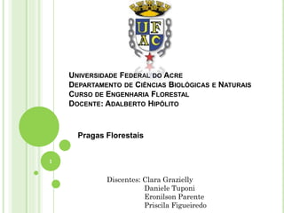 UNIVERSIDADE FEDERAL DO ACRE
DEPARTAMENTO DE CIÊNCIAS BIOLÓGICAS E NATURAIS
CURSO DE ENGENHARIA FLORESTAL
DOCENTE: ADALBERTO HIPÓLITO
Pragas Florestais
Discentes: Clara Grazielly
Daniele Tuponi
Eronilson Parente
Priscila Figueiredo
1
 