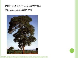 PEROBA (ASPIDOSPERMA
CYLINDROCARPON)
4
Fonte: http://www.paioldemolicoes.com.br/perobarosa.htm
 