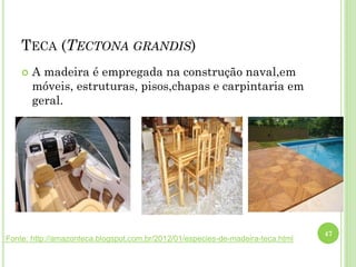TECA (TECTONA GRANDIS)
 A madeira é empregada na construção naval,em
móveis, estruturas, pisos,chapas e carpintaria em
geral.
47
Fonte: http://amazonteca.blogspot.com.br/2012/01/especies-de-madeira-teca.html
 