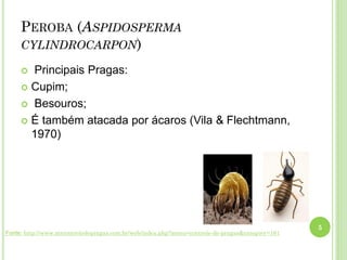 PEROBA (ASPIDOSPERMA
CYLINDROCARPON)
 Principais Pragas:
 Cupim;
 Besouros;
 É também atacada por ácaros (Vila & Flechtmann,
1970)
5
Fonte: http://www.mrcontroledepragas.com.br/web/index.php?menu=controle-de-pragas&category=161
 
