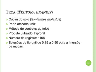 TECA (TECTONA GRANDIS)
 Cupim do solo (Syntermes molestus)
 Parte atacada: raiz
 Método de controle: químico
 Produto utilizado: Fipronil
 Numero de registro: 1108
 Soluções de fipronil de 0,35 a 0,50 para a imersão
de mudas.
51
 