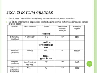 TECA (TECTONA GRANDIS)
 Saúva-limão (Atta sexdens rubropilosa), ordem heminoptera, família Formicidae
 Na tabela encontram-se os principais inseticidas para controle de formigas cortadeiras na teca
(FILHO, 2006).
58
Inseticida Marca comercial Dose m² Área máxima
para uma
aplicação
Número do
registro
Pó seco
Deltametrina
(piretróide)
K-Othrine 2P 10 g 1 m² 1497
Liquidos
termonebuliza
veis
Fenitrotion
(fosforado)
Sumifog 4 mL --- 418904
Iscas
granuladas
Clorpirifós
(fosforado)
Isca Formicida
Atta-Fós
10g 1 m² 6995
Sulfuramida
(sulfonamida
fluoralifática)
Mirex-s 6g 1 m² 2692
 