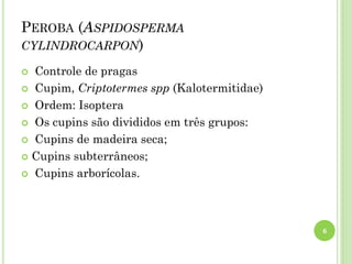 PEROBA (ASPIDOSPERMA
CYLINDROCARPON)
6
 Controle de pragas
 Cupim, Criptotermes spp (Kalotermitidae)
 Ordem: Isoptera
 Os cupins são divididos em três grupos:
 Cupins de madeira seca;
 Cupins subterrâneos;
 Cupins arborícolas.
 