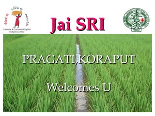 Jai SRI
PRAGATI,KORAPUT

   Welcomes U
 