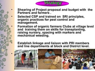 Strategy
•   Shearing of Project proposal and budget with the
    Partners and farmers .
•   Selected CSP and trained on SRI principles,
    organic practices for pest control and
    management.
•   Formation of organic farmers Clubs at village level
    and training them on skills for transplanting,
    raising nursery, spacing with markers and
    mechanical weeding.

•   Establish linkage and liaison with PRI members
    and line departments at block and District level.

•   Internal co-partners visit to another partners field.
 