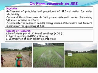 Objective:
•Refinement of principles and procedures of SRI cultivation for wider
adaptability.
•Document the action resear...