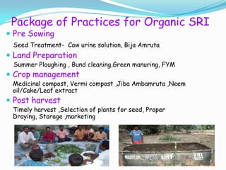Package of Practices for Organic SRI
 Pre Sowing
Seed Treatment- Cow urine solution, Bija Amruta
 Land Preparation
Summe...