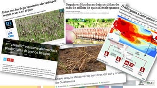 Busting the Myth that Pilots Never Scale:Unpacking the USAID Climate Services for Resilient Development Strategy in LAC 