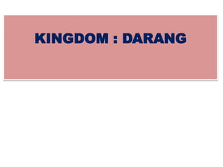 KINGDOM : DARANG
 