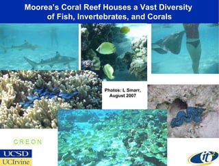 A PRAGMA-OptIPlanet Collaboratory Partnership