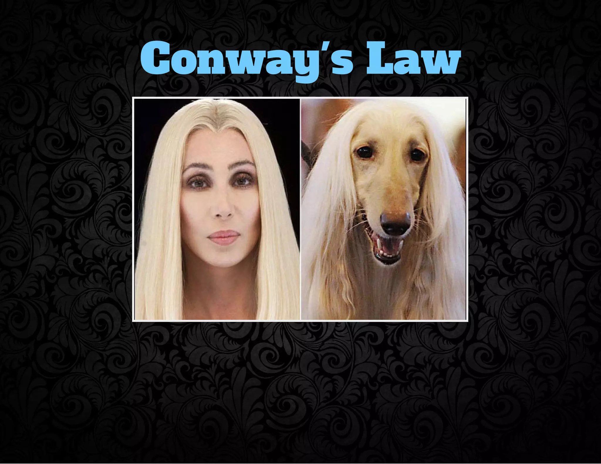 Conway's Law 
 