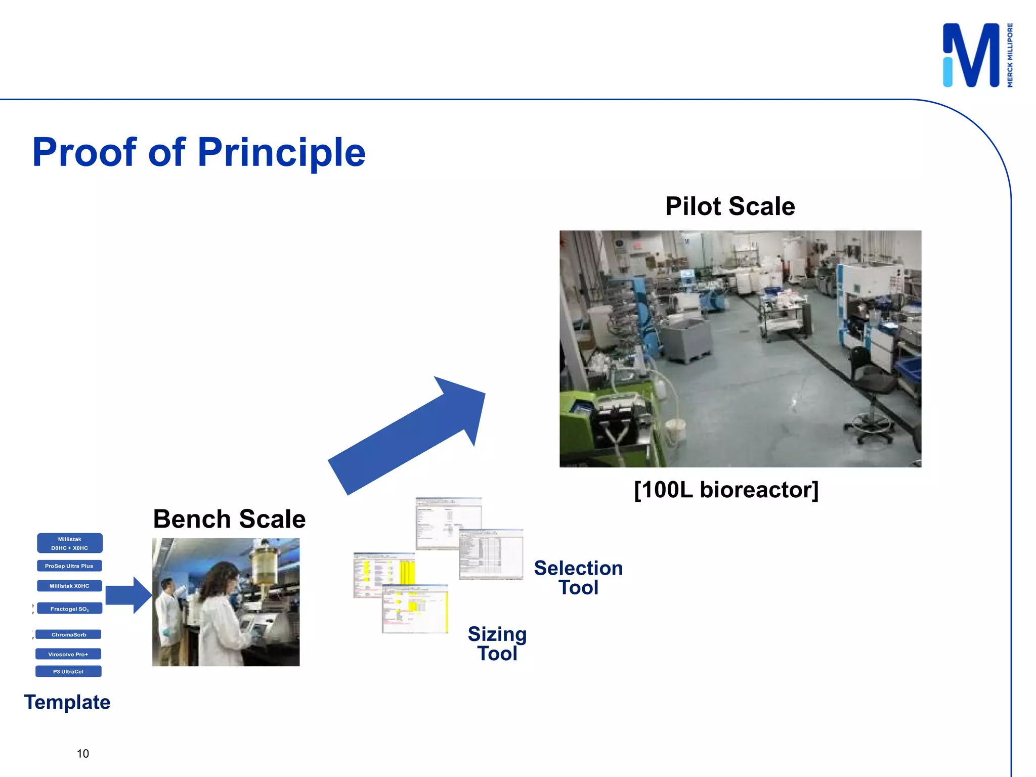 Proof of Principle
                                                             Pilot Scale




                                                           [100L bioreactor]
                        Bench Scale
        Millistak
      D0HC + X0HC


    ProSep Ultra Plus
                                               Selection
     Millistak X0HC
                                                 Tool
e
     Fractogel SO3
y

e
y
      ChromaSorb
                                      Sizing
     Viresolve Pro+
                                       Tool
      P3 UltraCel




Template

               10
 