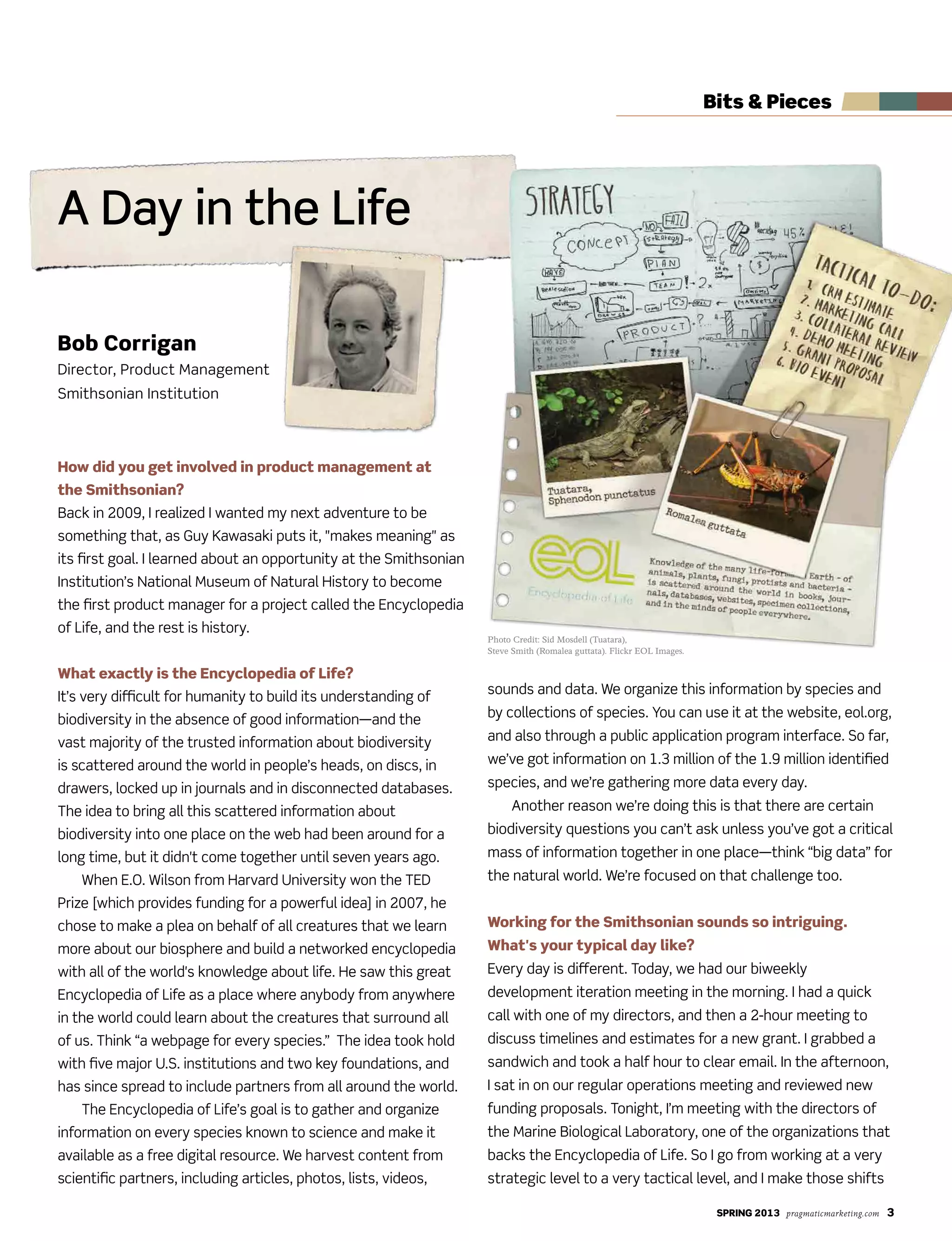 SPRING 2013 pragmaticmarketing.com 3
A Day in the Life
Bits & Pieces
How did you get involved in product management at
the Smithsonian?
Back in 2009, I realized I wanted my next adventure to be
something that, as Guy Kawasaki puts it, "makes meaning" as
its first goal. I learned about an opportunity at the Smithsonian
Institution’s National Museum of Natural History to become
the first product manager for a project called the Encyclopedia
of Life, and the rest is history.
What exactly is the Encyclopedia of Life?
It’s very difficult for humanity to build its understanding of
biodiversity in the absence of good information—and the
vast majority of the trusted information about biodiversity
is scattered around the world in people’s heads, on discs, in
drawers, locked up in journals and in disconnected databases.
The idea to bring all this scattered information about
biodiversity into one place on the web had been around for a
long time, but it didn't come together until seven years ago.
When E.O. Wilson from Harvard University won the TED
Prize [which provides funding for a powerful idea] in 2007, he
chose to make a plea on behalf of all creatures that we learn
more about our biosphere and build a networked encyclopedia
with all of the world's knowledge about life. He saw this great
Encyclopedia of Life as a place where anybody from anywhere
in the world could learn about the creatures that surround all
of us. Think “a webpage for every species.” The idea took hold
with five major U.S. institutions and two key foundations, and
has since spread to include partners from all around the world.
The Encyclopedia of Life’s goal is to gather and organize
information on every species known to science and make it
available as a free digital resource. We harvest content from
scientific partners, including articles, photos, lists, videos,
sounds and data. We organize this information by species and
by collections of species. You can use it at the website, eol.org,
and also through a public application program interface. So far,
we’ve got information on 1.3 million of the 1.9 million identified
species, and we’re gathering more data every day.
Another reason we’re doing this is that there are certain
biodiversity questions you can’t ask unless you’ve got a critical
mass of information together in one place—think “big data” for
the natural world. We’re focused on that challenge too.
Working for the Smithsonian sounds so intriguing.
What's your typical day like?
Every day is different. Today, we had our biweekly
development iteration meeting in the morning. I had a quick
call with one of my directors, and then a 2-hour meeting to
discuss timelines and estimates for a new grant. I grabbed a
sandwich and took a half hour to clear email. In the afternoon,
I sat in on our regular operations meeting and reviewed new
funding proposals. Tonight, I’m meeting with the directors of
the Marine Biological Laboratory, one of the organizations that
backs the Encyclopedia of Life. So I go from working at a very
strategic level to a very tactical level, and I make those shifts
Bob Corrigan
Director, Product Management
Smithsonian Institution
Photo Credit: Sid Mosdell (Tuatara),
Steve Smith (Romalea guttata). Flickr EOL Images.
 