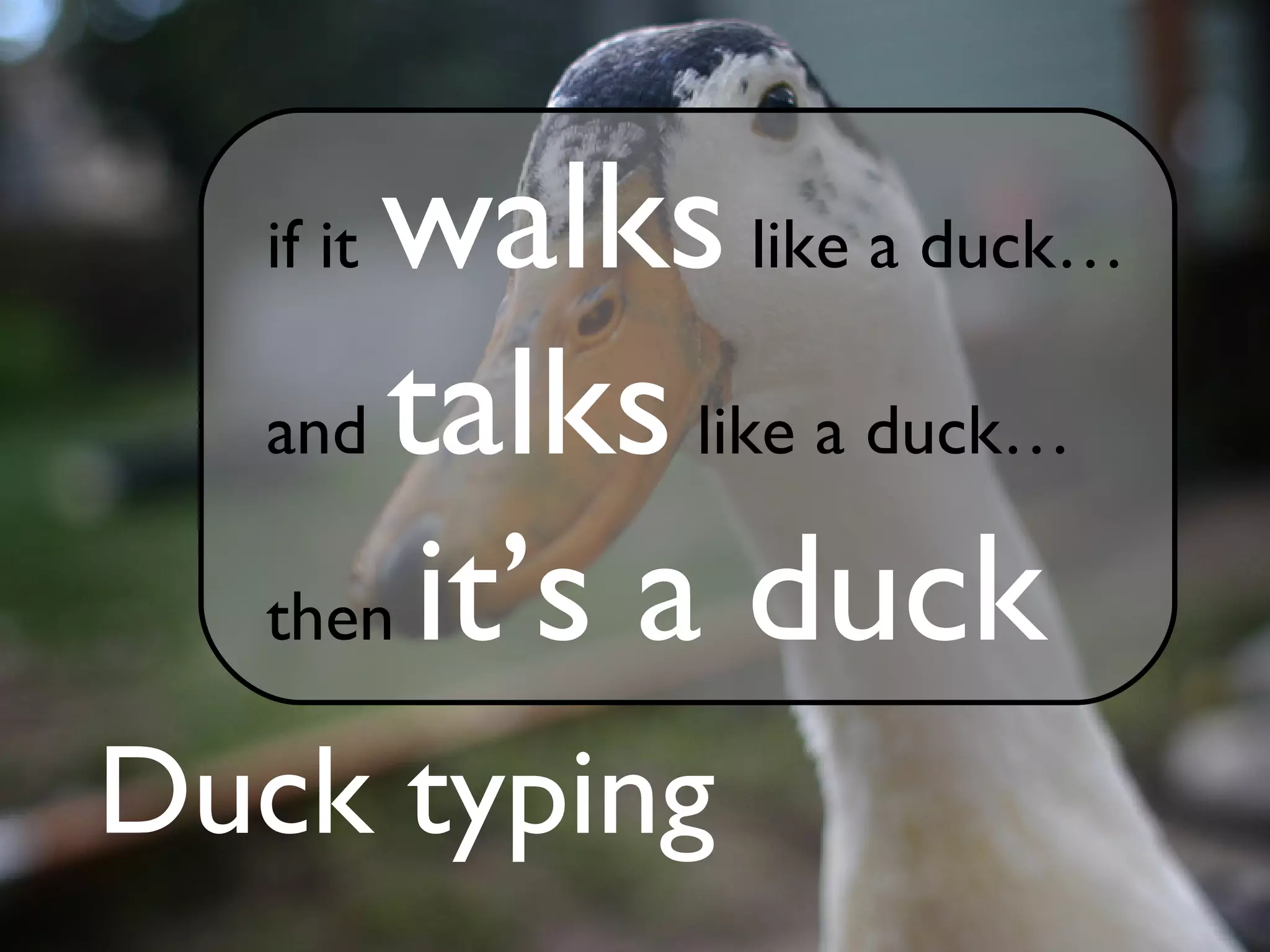 walks like a duck…
   if it

   and talks like a duck…

   then it’s a duck

Duck typing
 
