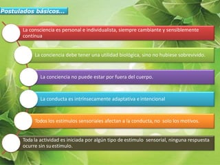 Postulados básicos…
La consciencia es personal e individualista, siempre cambiante y sensiblemente
contínua
La conciencia debe tener una utilidad biológica, sino no hubiese sobrevivido.
La conciencia no puede estar por fuera del cuerpo.
La conducta es intrínsecamente adaptativa eintencional
Todos los estímulos sensoriales afectan a la conducta,no solo los motivos.
Toda la actividad es iniciada por algún tipo de estimulo sensorial, ninguna respuesta
ocurre sin suestimulo.
 