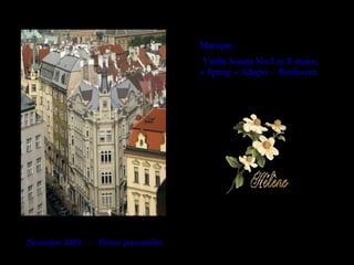 Musique:
Violin Sonata No.5 in F major,
« Spring » Adagio - Beethoven
Novembre 2009 - Photos personnelles
 