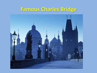 Famous Charles Bridge
 