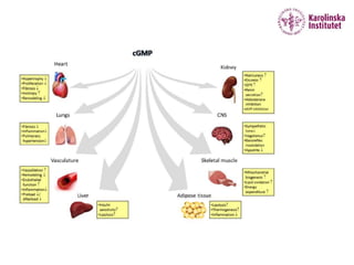 Utility of Cardiac Biomarkers in Clinical Heart Failure Care | PPTX