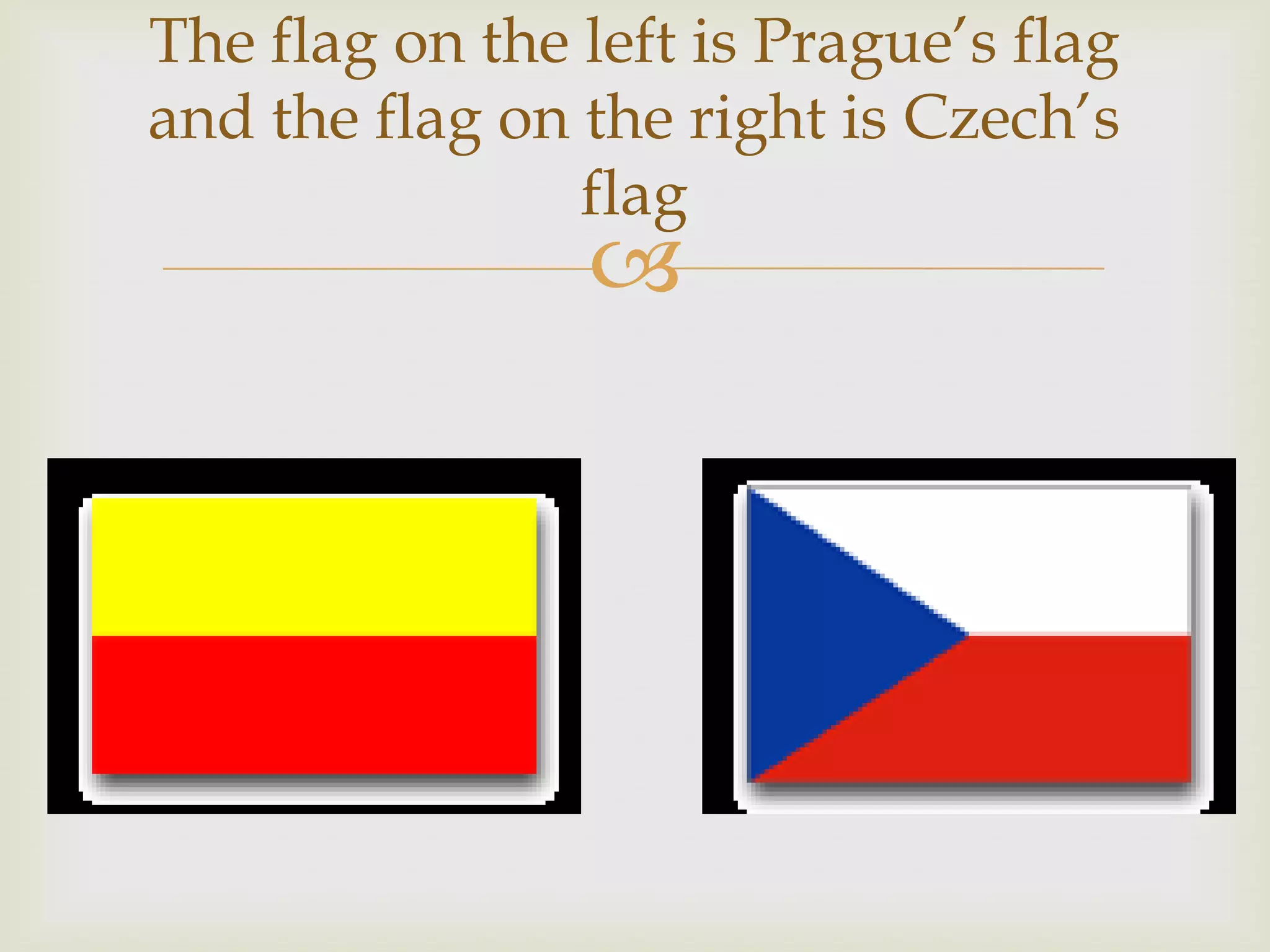 The flag on the left is Prague’s flag
and the flag on the right is Czech’s
                flag
                
 