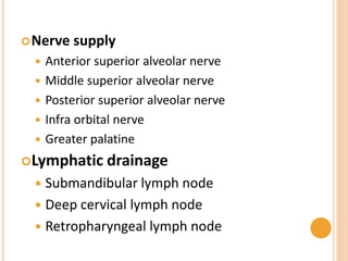 Nerve supply
 Anterior superior alveolar nerve
 Middle superior alveolar nerve
 Posterior superior alveolar nerve
 Infra orbital nerve
 Greater palatine
Lymphatic drainage
 Submandibular lymph node
 Deep cervical lymph node
 Retropharyngeal lymph node
 