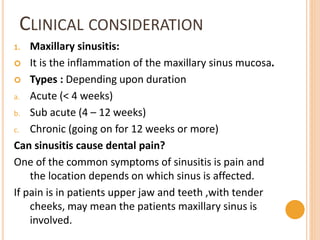 CLINICAL CONSIDERATION
1. Maxillary sinusitis:
 It is the inflammation of the maxillary sinus mucosa.
 Types : Depending upon duration
a. Acute (< 4 weeks)
b. Sub acute (4 – 12 weeks)
c. Chronic (going on for 12 weeks or more)
Can sinusitis cause dental pain?
One of the common symptoms of sinusitis is pain and
the location depends on which sinus is affected.
If pain is in patients upper jaw and teeth ,with tender
cheeks, may mean the patients maxillary sinus is
involved.
 