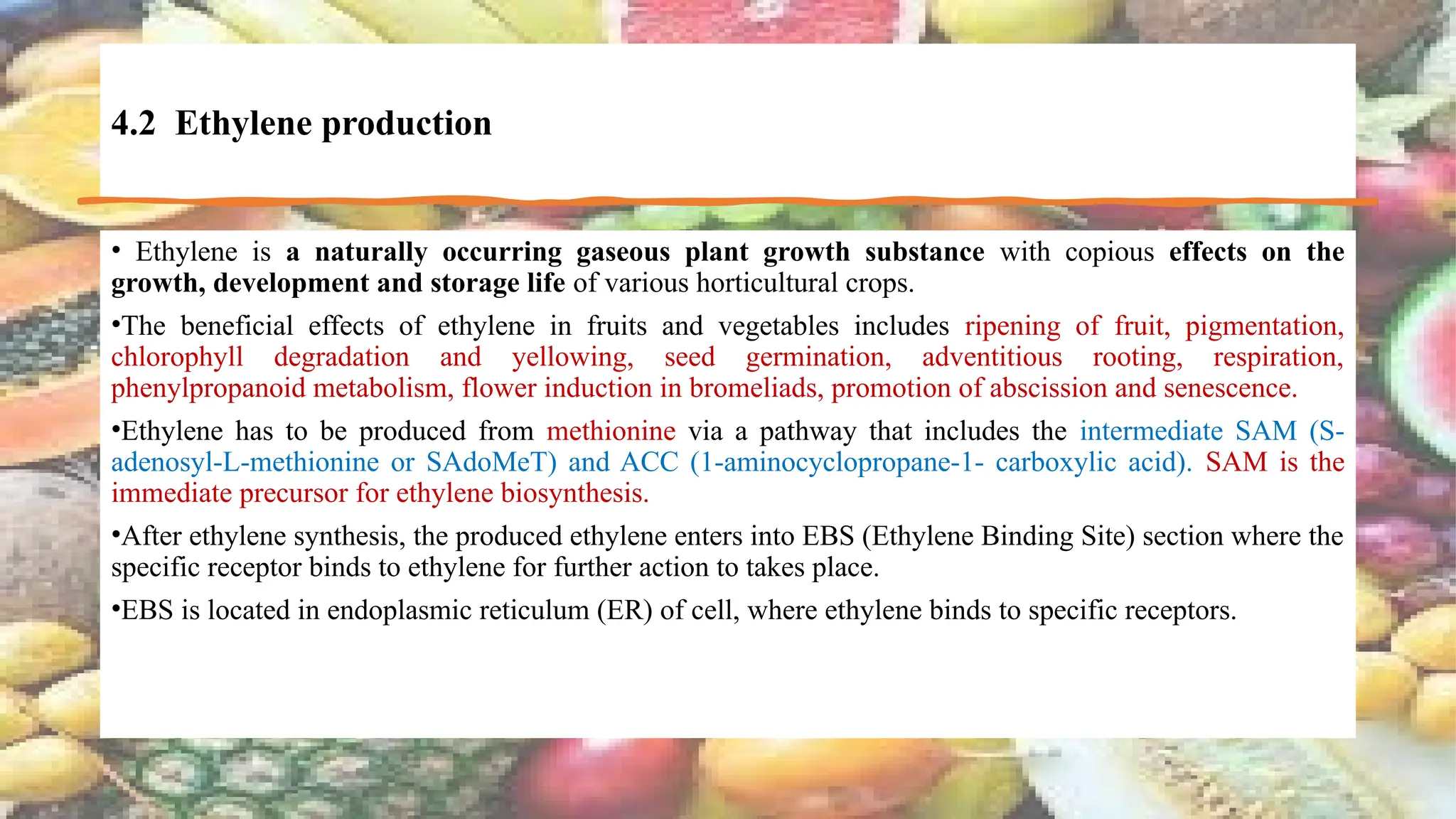 Physiological and Molecular Basis of Fruit Ripening – Pragya Mahobe | PPTX