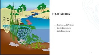 CATEGORIES
• Swamps and Wetlands
• Lentic Ecosystems
• Lotic Ecosystems
7
 