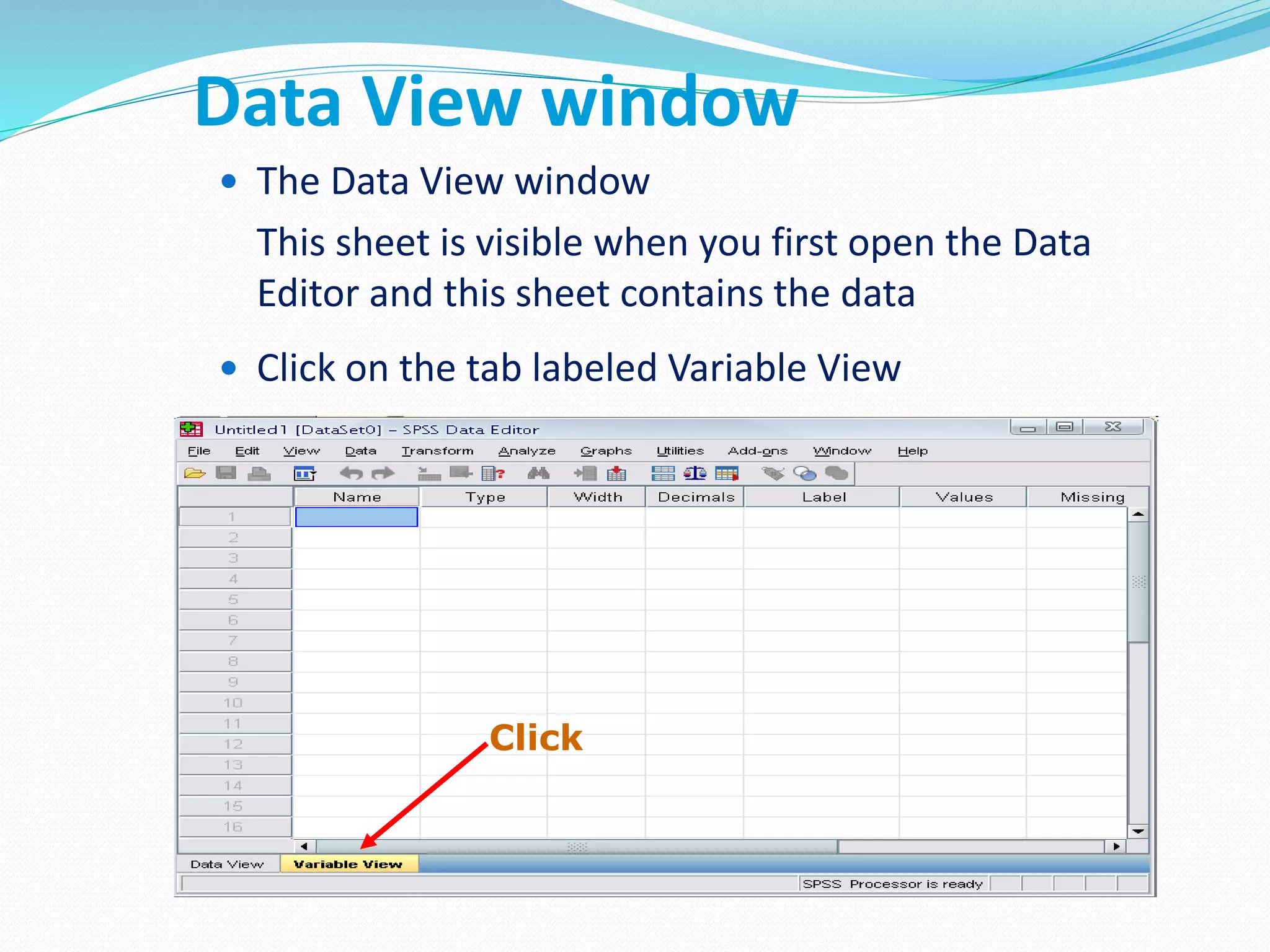Data View window
 The Data View window
This sheet is visible when you first open the Data
Editor and this sheet contains the data
 Click on the tab labeled Variable View
Click
 