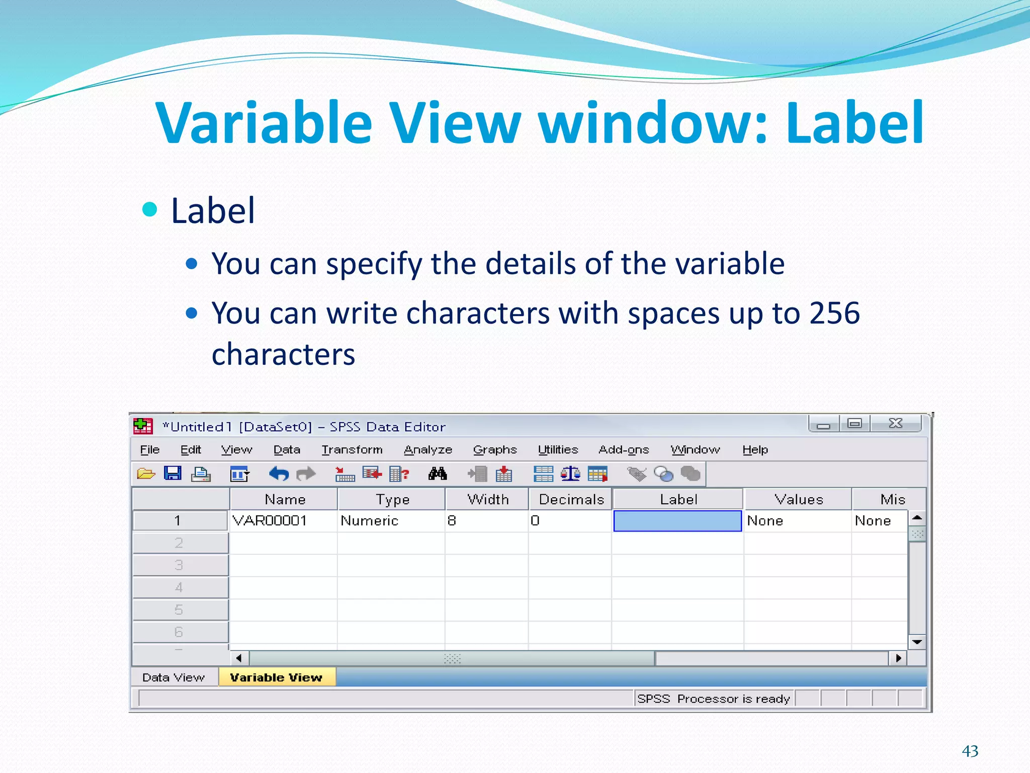 Variable View window: Label
 Label
 You can specify the details of the variable
 You can write characters with spaces up to 256
characters
43
 