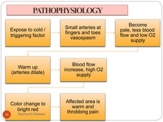 PATHOPHYSIOLOGY
Expose to cold /
triggering factor
Small arteries at
fingers and toes
vasospasm
Become
pale, less blood
flow and low O2
supply
Warm up
(arteries dilate)
Blood flow
increase, high O2
supply
Color change to
bright red
Affected area is
warm and
throbbing pain10 Raynaud's Disease
 