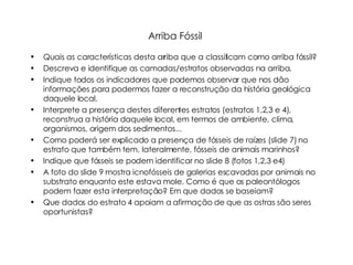 Arriba Fóssil  Quais as características desta arriba que a classificam como arriba fóssil? Descreva e identifique as camadas/estratos observadas na arriba.  Indique todos os indicadores que podemos observar que nos dão informações para podermos fazer a reconstrução da história geológica daquele local. Interprete a presença destes diferentes estratos (estratos 1,2,3 e 4), reconstrua a história daquele local, em termos de ambiente, clima, organismos, origem dos sedimentos... Como poderá ser explicado a presença de fósseis de raízes (slide 7) no estrato que também tem, lateralmente, fósseis de animais marinhos? Indique que fósseis se podem identificar no slide 8 (fotos 1,2,3 e4) A foto do slide 9 mostra icnofósseis de galerias escavadas por animais no substrato enquanto este estava mole. Como é que os paleontólogos podem fazer esta interpretação? Em que dados se baseiam? Que dados do estrato 4 apoiam a afirmação de que as ostras são seres oportunistas? 