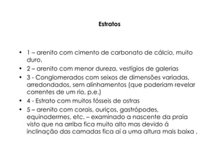 Estratos 1 – arenito com cimento de carbonato de cálcio, muito duro.  2 – arenito com menor dureza, vestígios de galerias 3 - Conglomerados com seixos de dimensões variadas, arredondados, sem alinhamentos (que poderiam revelar correntes de um rio, p.e.) 4 - Estrato com muitos fósseis de ostras 5 – arenito com corais, ouriços, gastrópodes, equinodermes, etc. – examinado a nascente da praia visto que na arriba fica muito alto mas devido á inclinação das camadas fica aí a uma altura mais baixa . 