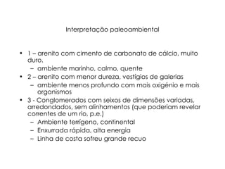 Interpretação paleoambiental 1 – arenito com cimento de carbonato de cálcio, muito duro.  ambiente marinho, calmo, quente 2 – arenito com menor dureza, vestígios de galerias ambiente menos profundo com mais oxigénio e mais organismos 3 - Conglomerados com seixos de dimensões variadas, arredondados, sem alinhamentos (que poderiam revelar correntes de um rio, p.e.) Ambiente terrígeno, continental Enxurrada rápida, alta energia Linha de costa sofreu grande recuo 