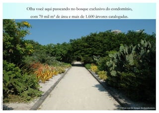 Olha você aqui passeando no bosque exclusivo do condomínio, com 70 mil m² de área e mais de 1.600 árvores catalogadas. Foto real do bosque do Condomínio. Foto Gabriel Andrade 