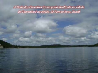 A Praia dos Carneiros é uma praia localizada na cidade
de Tamandaré no estado de Pernambuco, Brasil
 