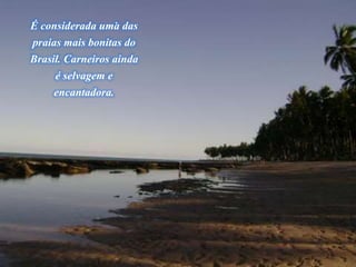 .É considerada uma das
praias mais bonitas do
Brasil. Carneiros ainda
é selvagem e
encantadora.
 
