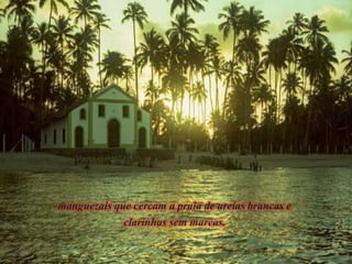 manguezais que cercam a praia de areias brancas e
clarinhas sem marcas.
 