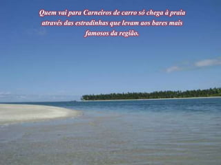 Quem vai para Carneiros de carro só chega à praia
através das estradinhas que levam aos bares mais
famosos da região.
 