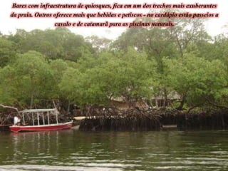 Bares com infraestrutura de quiosques, fica em um dos trechos mais exuberantes
da praia. Outros oferece mais que bebidas e petiscos - no cardápio estão passeios a
cavalo e de catamarã para as piscinas naturais.
 